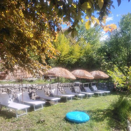 Domaine Des Petites Soeurs A 800M Du Centre Historique Avec 5200M2 De Parc Arbore Ванс Экстерьер фото