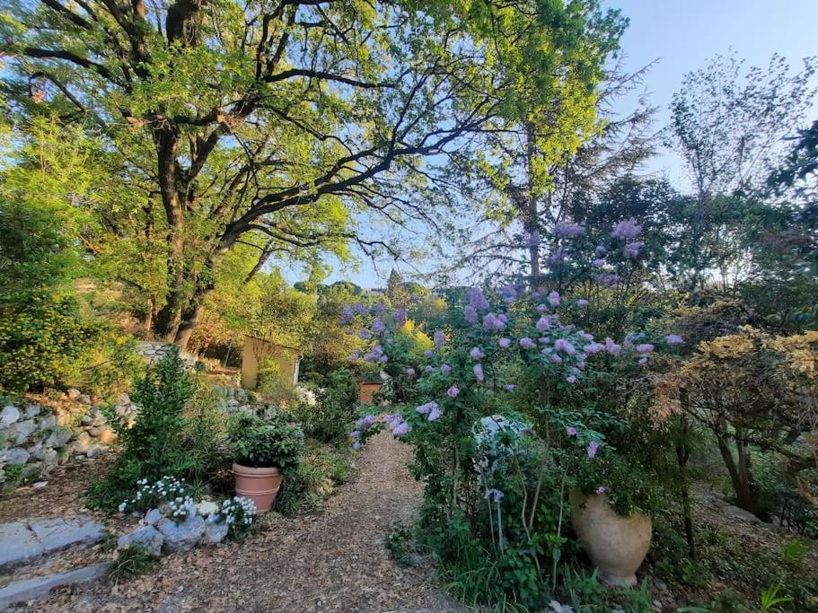 Domaine Des Petites Soeurs A 800M Du Centre Historique Avec 5200M2 De Parc Arbore Ванс Экстерьер фото